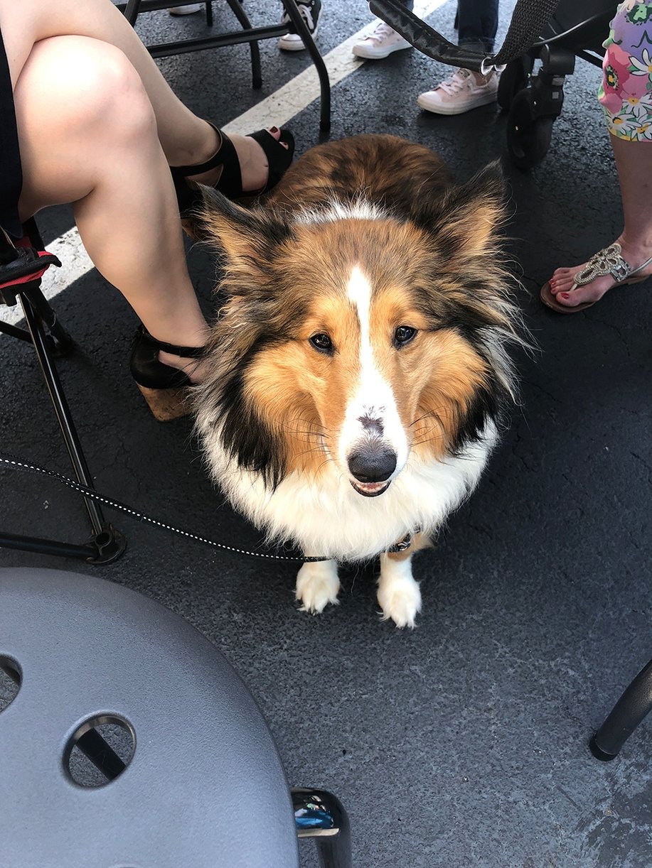 Sample - How To Post (clone) (clone) (clone)